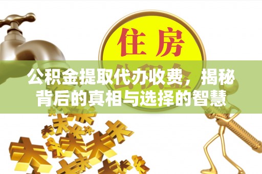 郁南公积金提取代办收费，揭秘背后的真相与选择的智慧