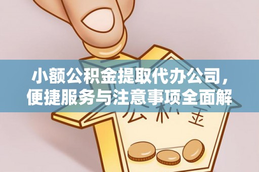 郁南小额公积金提取代办公司，便捷服务与注意事项全面解析