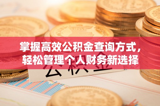 郁南掌握高效公积金查询方式，轻松管理个人财务新选择