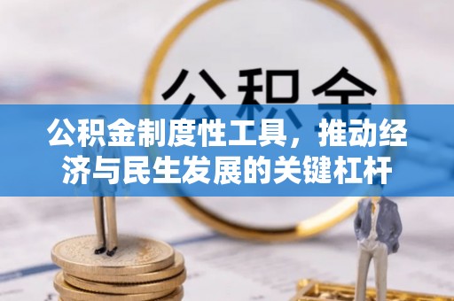 郁南公积金制度性工具，推动经济与民生发展的关键杠杆