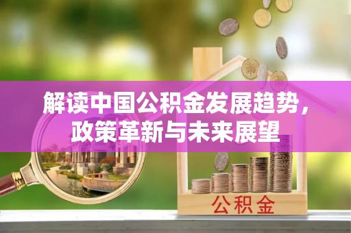 郁南解读中国公积金发展趋势，政策革新与未来展望