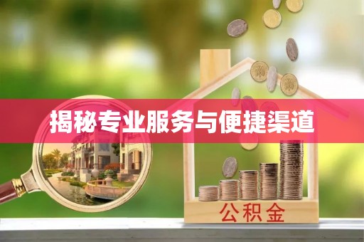 郁南揭秘专业服务与便捷渠道