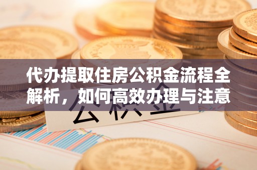 郁南代办提取住房公积金流程全解析，如何高效办理与注意事项