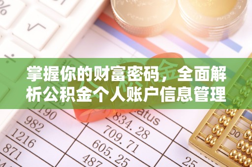 郁南掌握你的财富密码，全面解析公积金个人账户信息管理