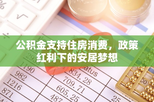 郁南公积金支持住房消费，政策红利下的安居梦想