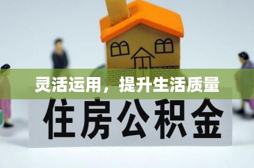 郁南灵活运用，提升生活质量