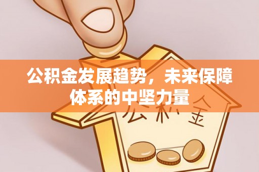 郁南公积金发展趋势，未来保障体系的中坚力量