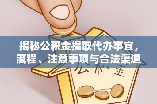 郁南揭秘公积金提取代办事宜，流程、注意事项与合法渠道
