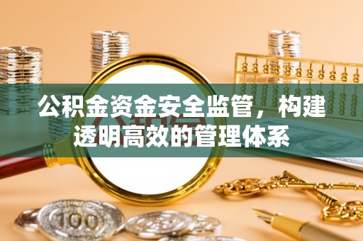 郁南公积金资金安全监管，构建透明高效的管理体系