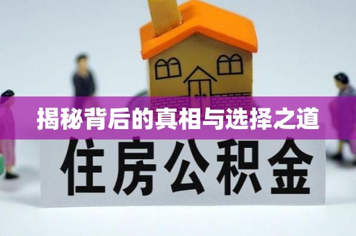 郁南揭秘背后的真相与选择之道
