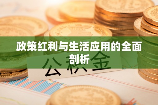 郁南政策红利与生活应用的全面剖析