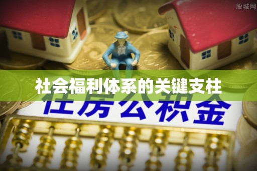 郁南社会福利体系的关键支柱