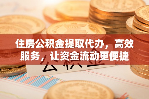 郁南住房公积金提取代办，高效服务，让资金流动更便捷