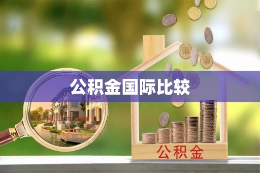 郁南公积金国际比较