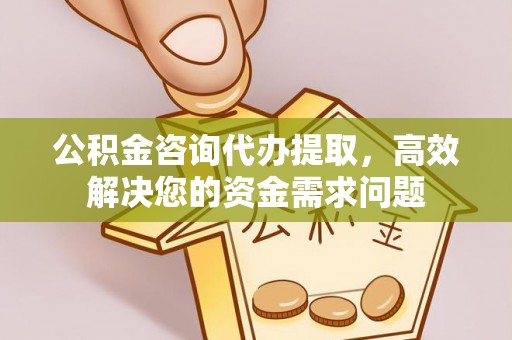郁南公积金咨询代办提取，高效解决您的资金需求问题