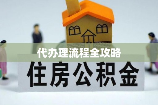 郁南代办理流程全攻略