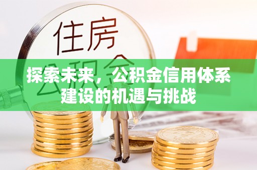 郁南探索未来，公积金信用体系建设的机遇与挑战
