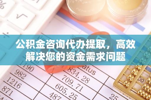 郁南公积金咨询代办提取，高效解决您的资金需求问题