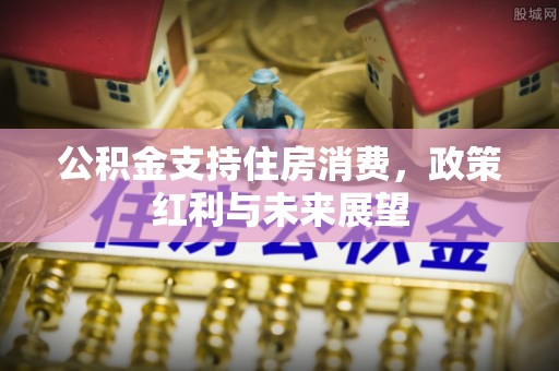 郁南公积金支持住房消费，政策红利与未来展望