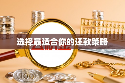 郁南选择最适合你的还款策略