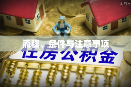 郁南流程、条件与注意事项