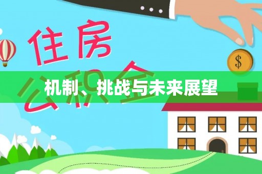 郁南机制、挑战与未来展望